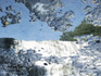 Ithaca Falls